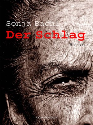 cover image of Der Schlag